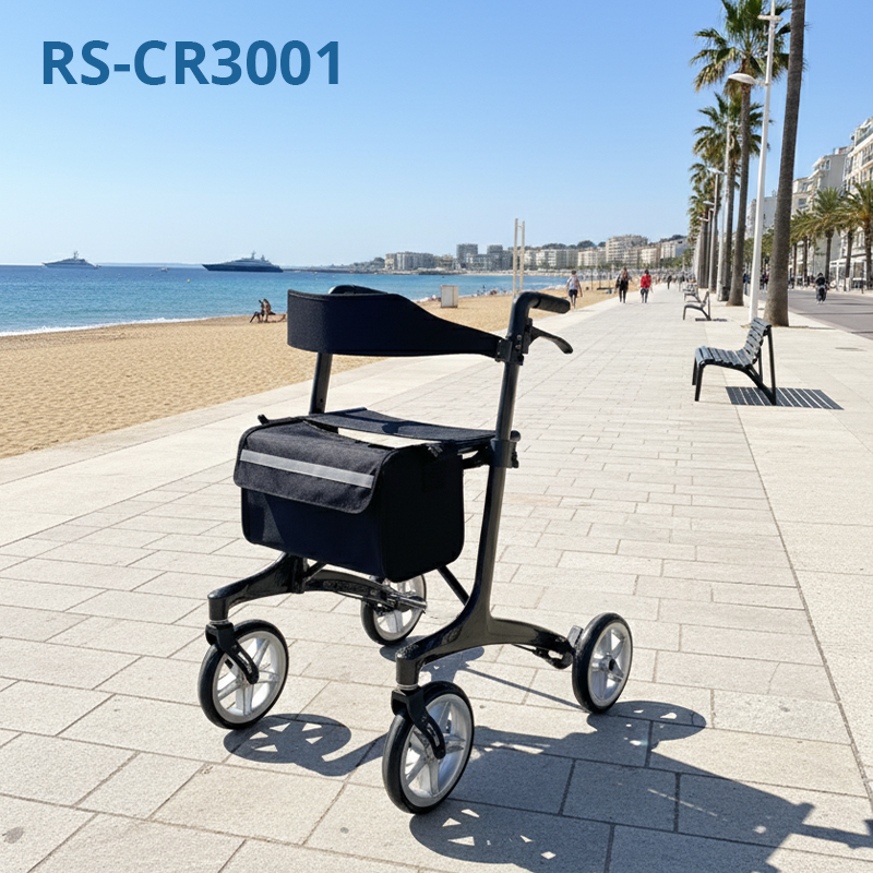 RS-CR3001