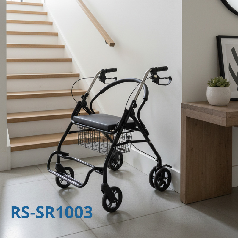 RS-SR1003