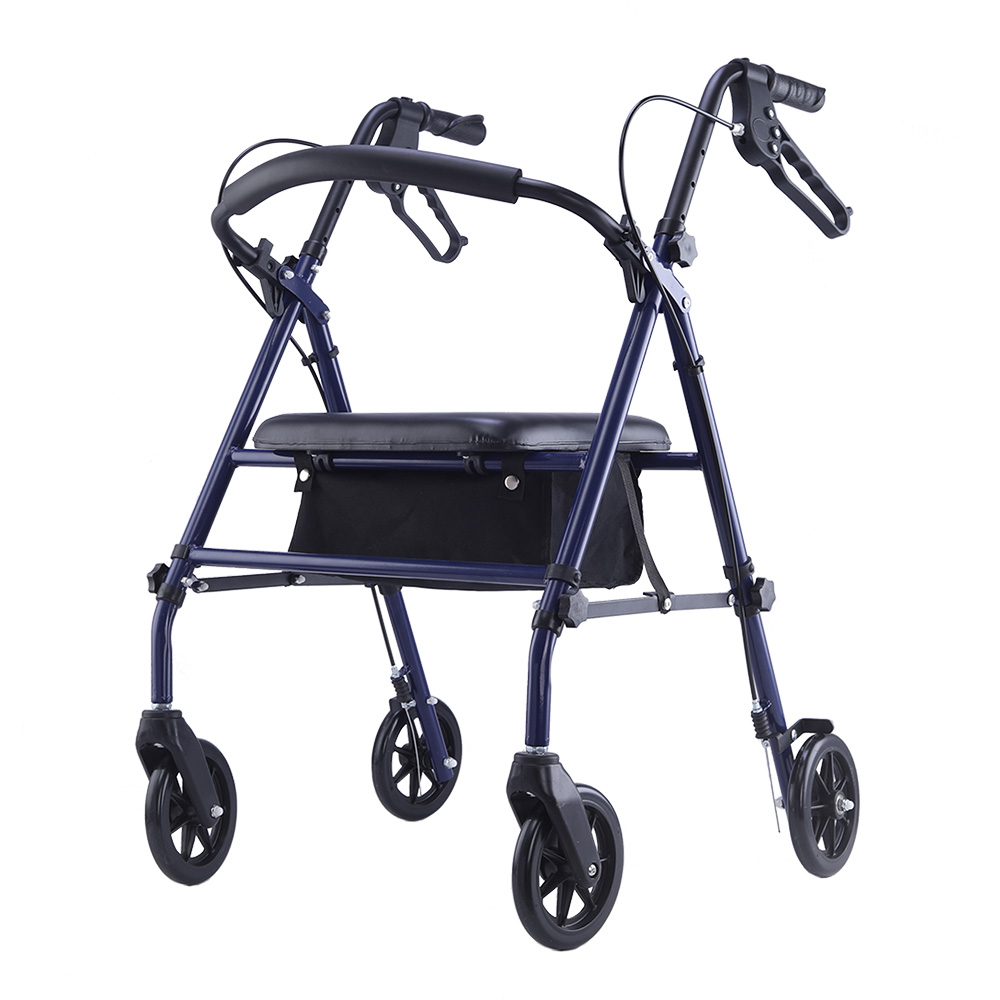 RS-SR1006