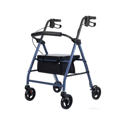 RS-SR1001
