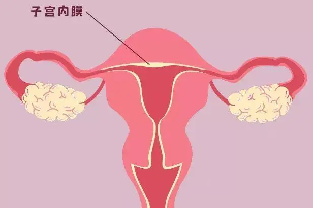 子宫内膜厚度多少更适合怀孕？