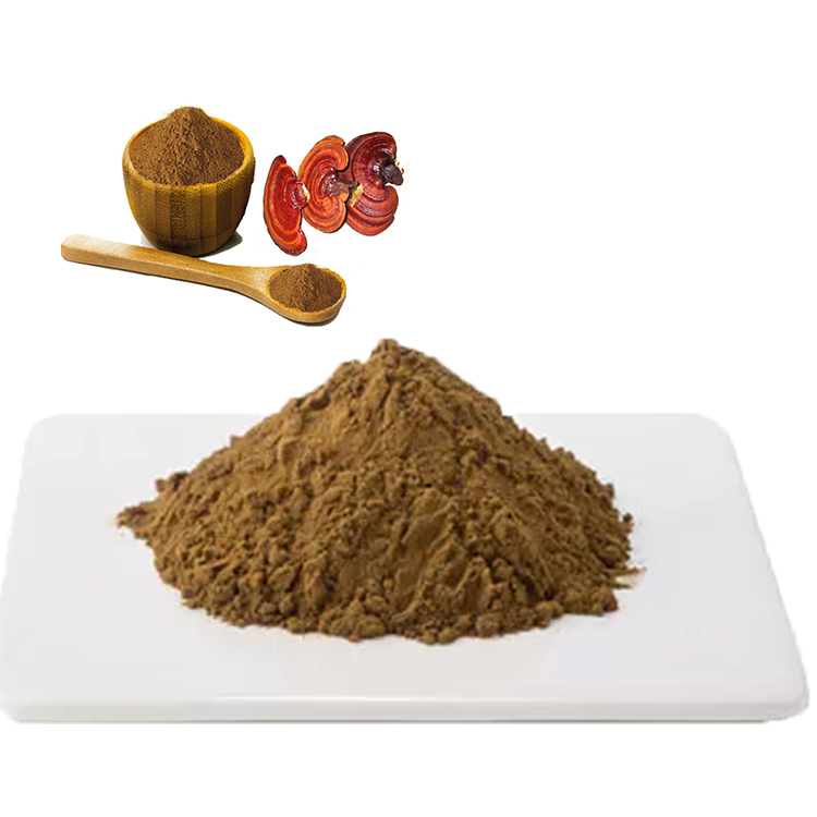 High Performance 30% Polysaccharide Reishi Mushroom Powder Ganoderma Lucidum Mushroom ExtractOrganic Mushroom Extract Powder