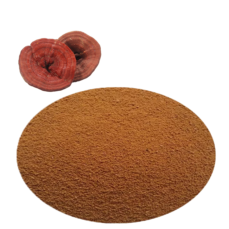 What Makes Lingzhi “The Mushroom of Immortality”?