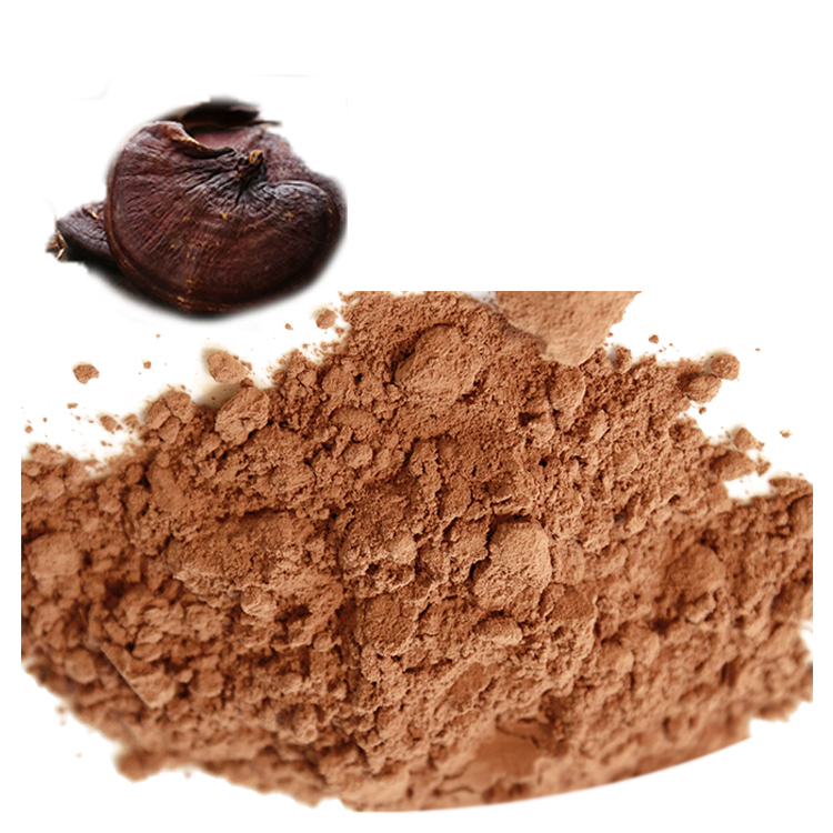 Trusted Suppliers of USDA Certified Reishi Mushroom Extract
