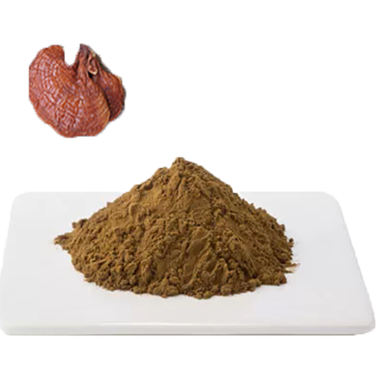 Organic Red Reishi Powder: A Natural Stress Reliever