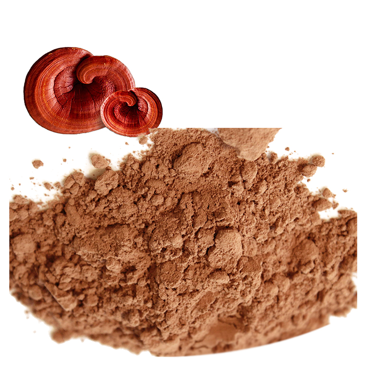 Can Red Reishi Powder Support Cognitive Function?