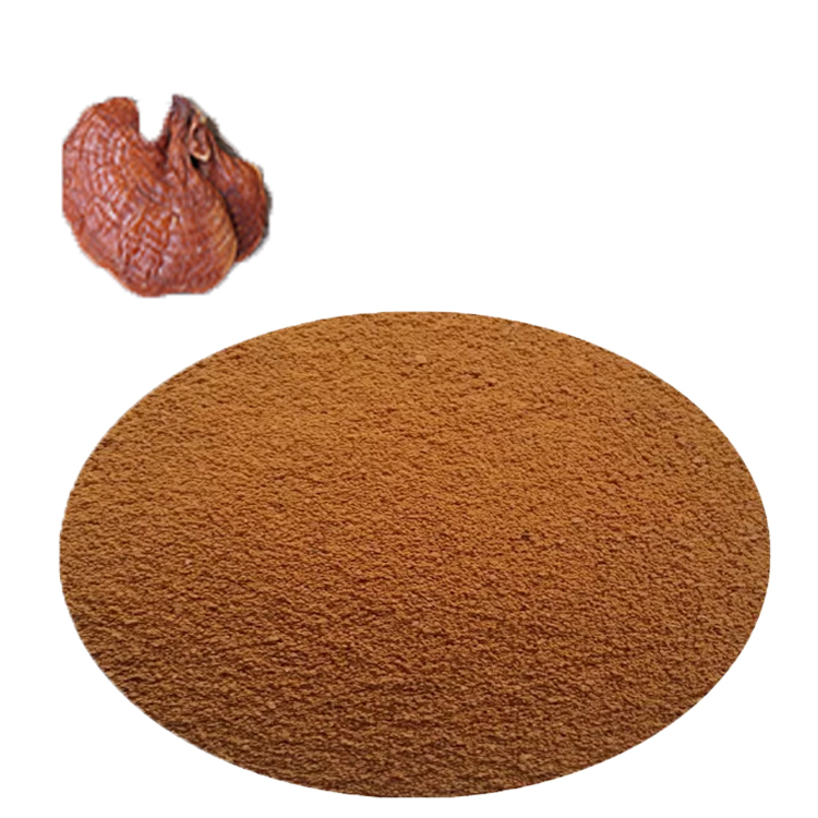Ganoderma Lucidum: Ancient Wisdom Meets Modern Science