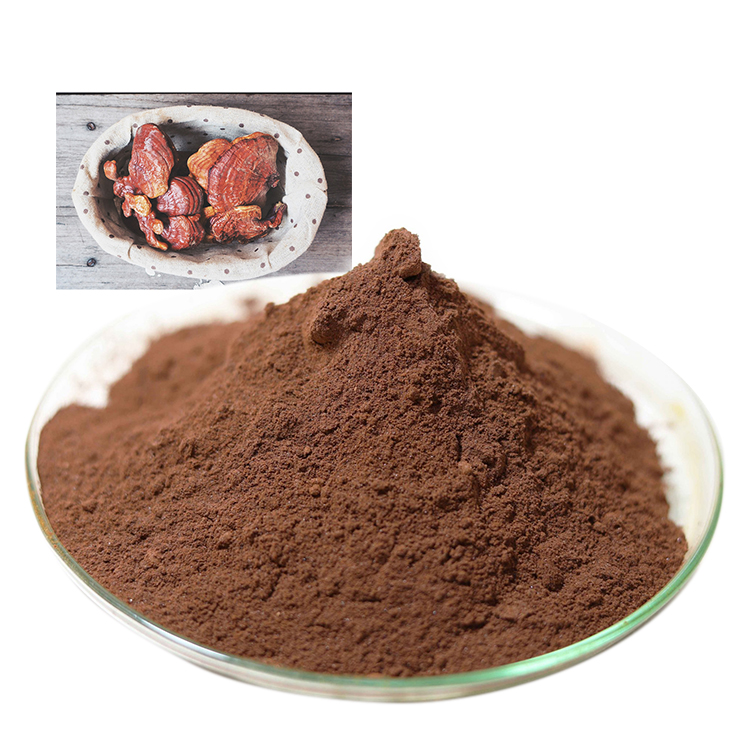 Find Out Why Everyone Loves Pure Red Reishi Mushroom Extract
