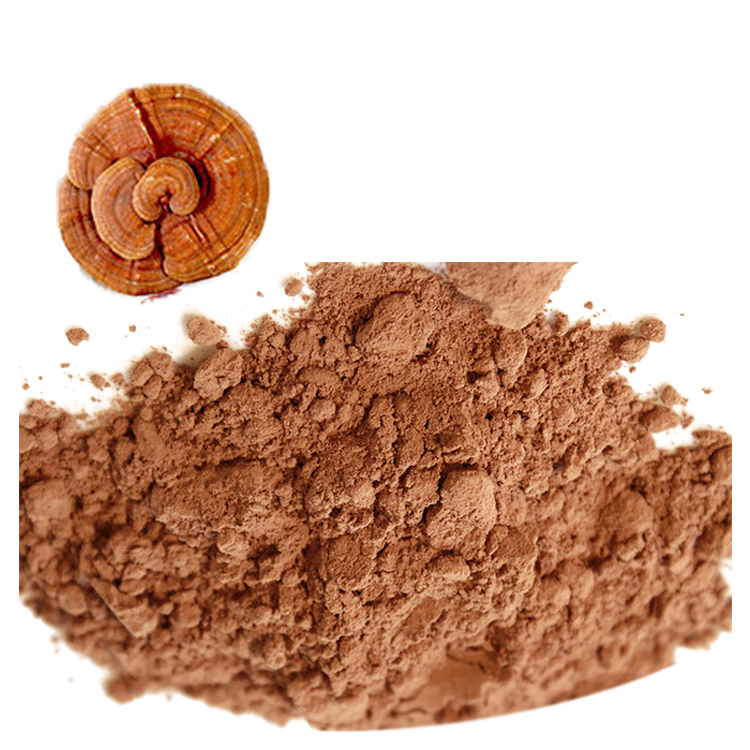Best Ways to Mix Red Reishi Powder in Food and Drinks