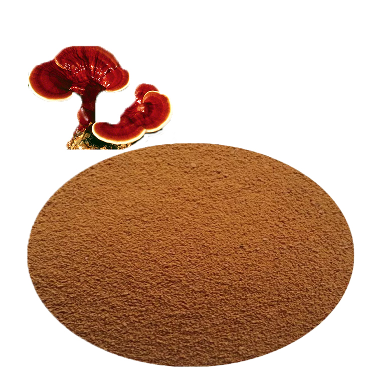 Ganoderma Lucidum: Ancient Wisdom Meets Modern Science