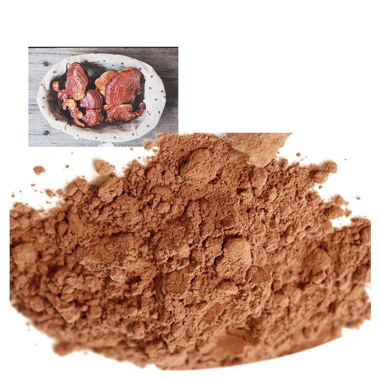 Red Reishi Mushroom Powder for Skin and Longevity