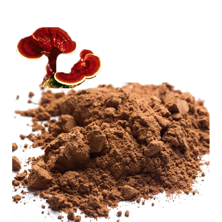 How to Build a Wellness Brand with Reishi Mushroom Extract