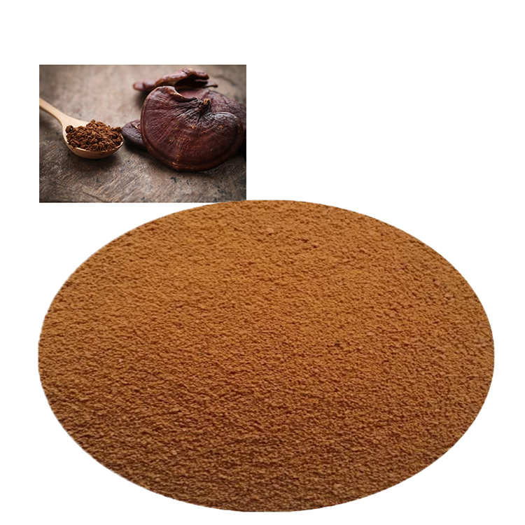 Ganoderma Lucidum: Ancient Wisdom Meets Modern Science