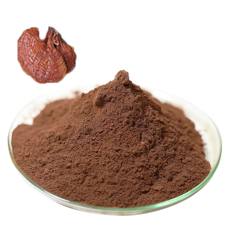 Find Out Why Everyone Loves Pure Red Reishi Mushroom Extract