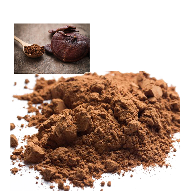 Organic Red Reishi Powder in Chinese Medicine Today