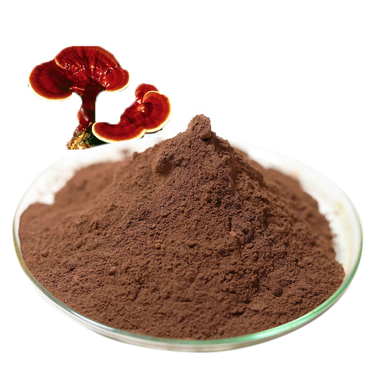 Find Out Why Everyone Loves Pure Red Reishi Mushroom Extract