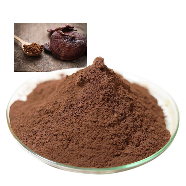 Find Out Why Everyone Loves Pure Red Reishi Mushroom Extract
