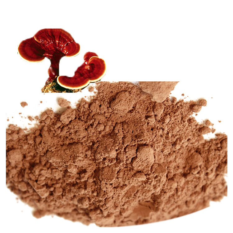 Best Ways to Mix Red Reishi Powder in Food and Drinks