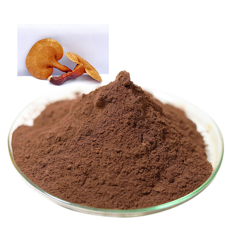 Buy Certified Organic Mushroom Powder and Certified Organic Ganoderma Lucidum Powder and Red Reishi Mushroom Extract Online - Health Benefits & Uses