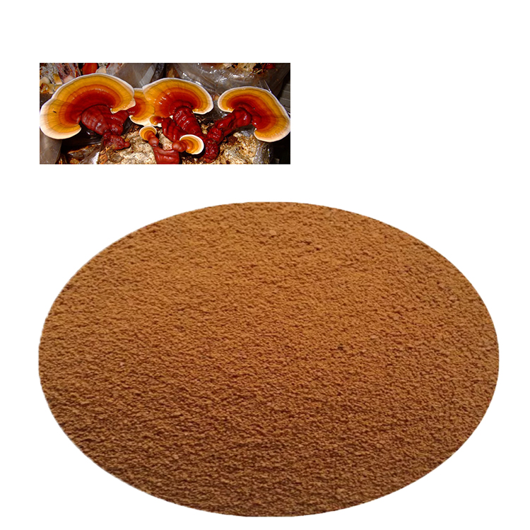 Ganoderma Lucidum vs Lingzhi: Are They the Same?