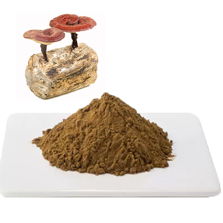 Red Reishi: From Ancient Chinese Medicine to Today