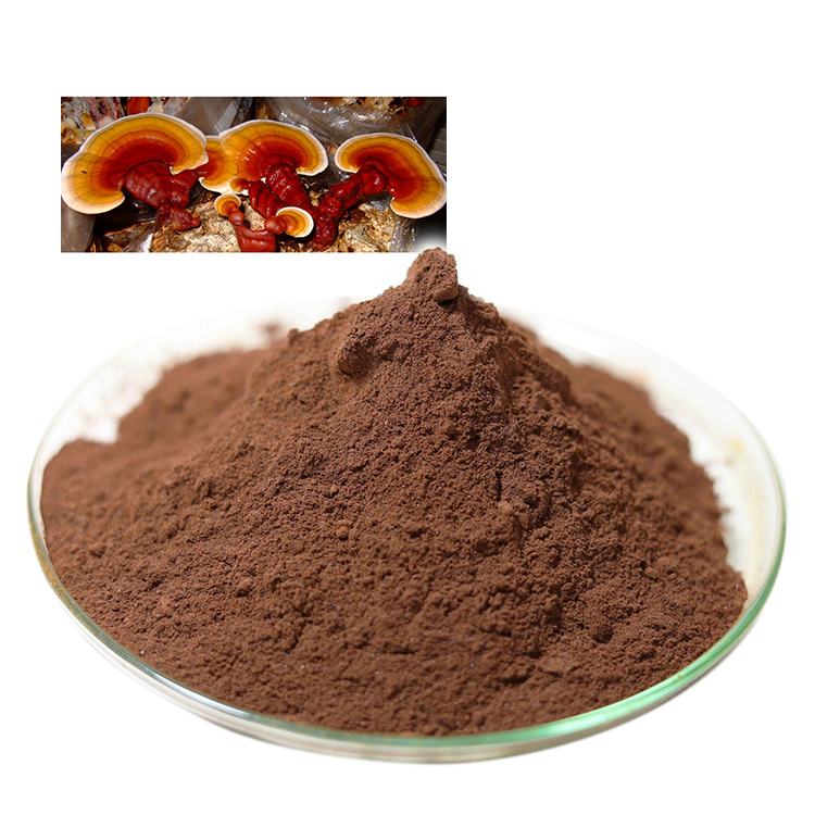 Buy Certified Organic Mushroom Powder and Certified Organic Ganoderma Lucidum Powder and Red Reishi Mushroom Extract Online - Health Benefits & Uses