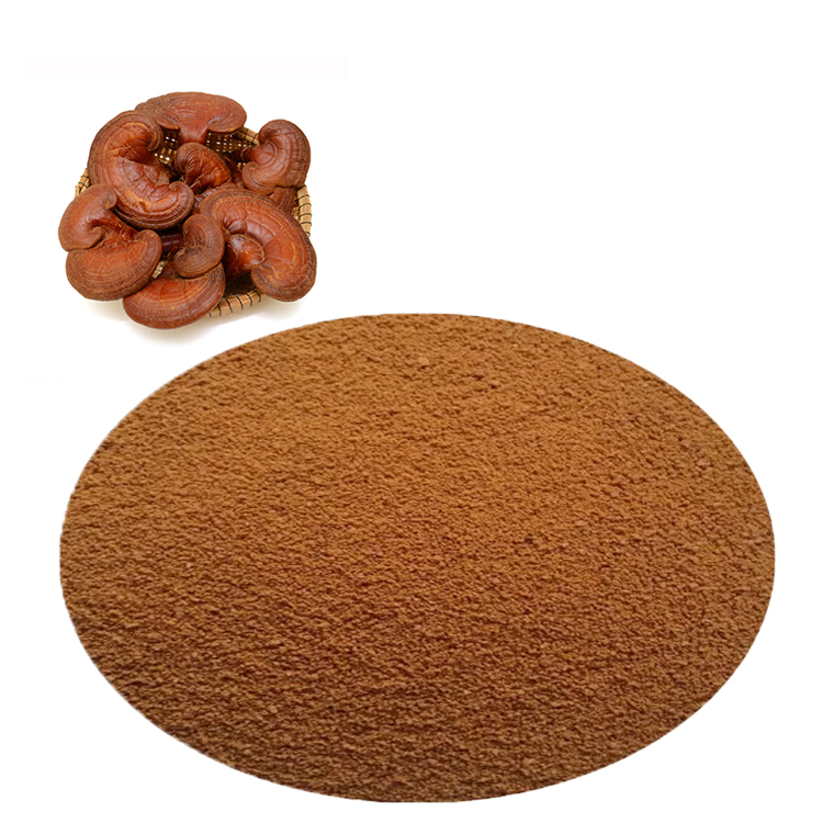 What Makes USDA Organic Red Reishi Powder Superior