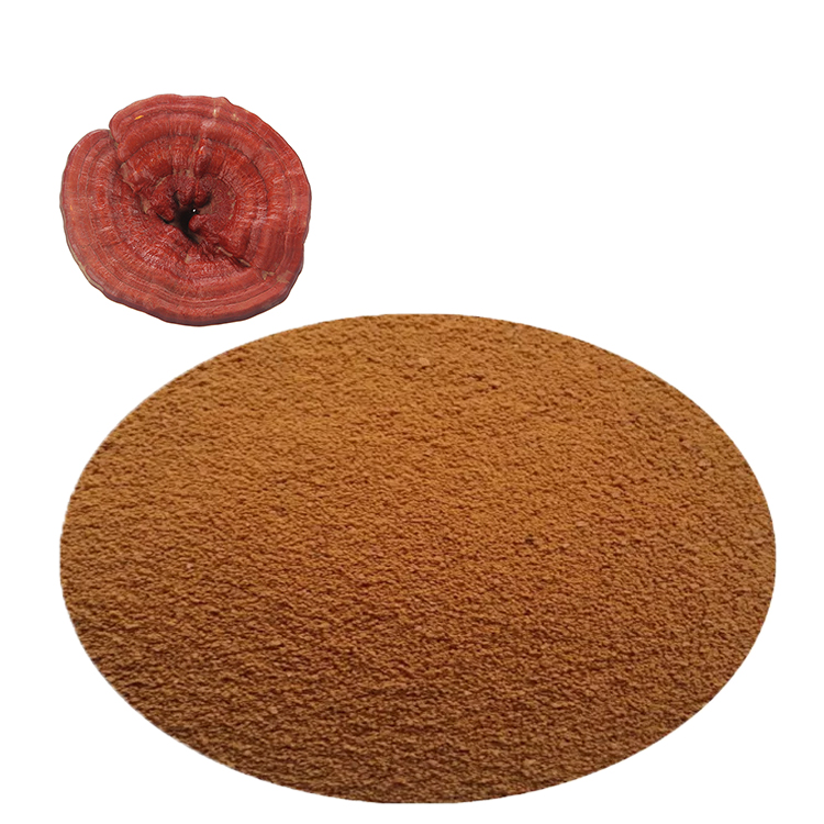 What Makes Lingzhi “The Mushroom of Immortality”?