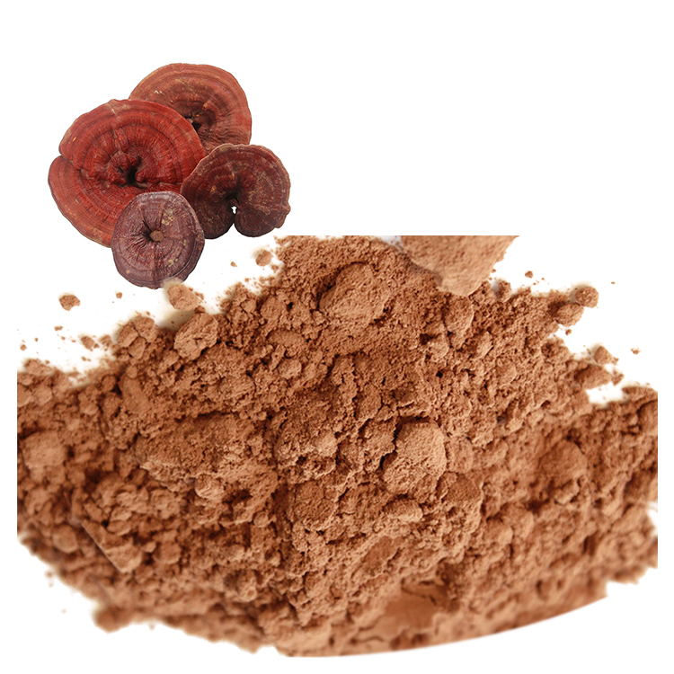 Trusted Suppliers of USDA Certified Reishi Mushroom Extract