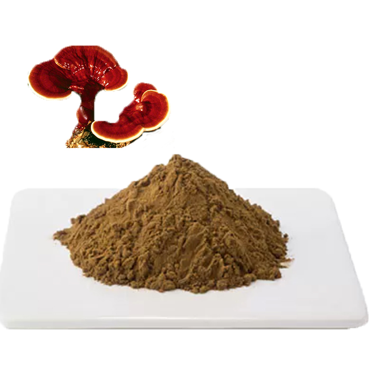 Organic Red Reishi Powder: A Natural Stress Reliever