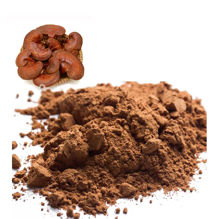 Organic Red Reishi Powder in Chinese Medicine Today