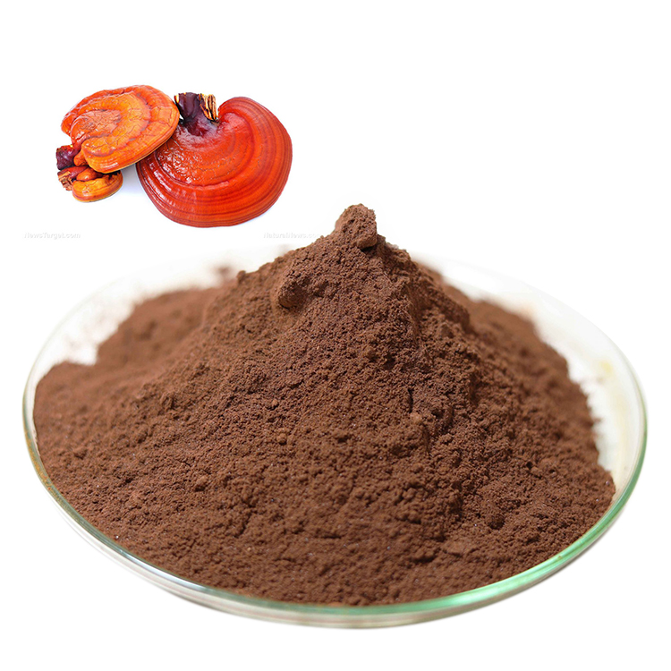 Buy Certified Organic Mushroom Powder and Certified Organic Ganoderma Lucidum Powder and Red Reishi Mushroom Extract Online - Health Benefits & Uses