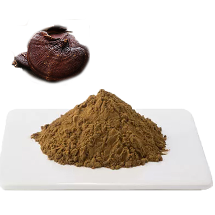 What Makes Lingzhi “The Mushroom of Immortality”?