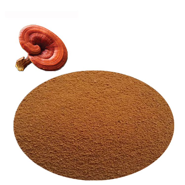 High Beta-Glucan Red Reishi Extract and Immune Health