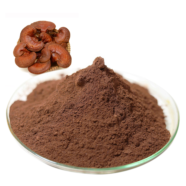 Buy Certified Organic Mushroom Powder and Certified Organic Ganoderma Lucidum Powder and Red Reishi Mushroom Extract Online - Health Benefits & Uses