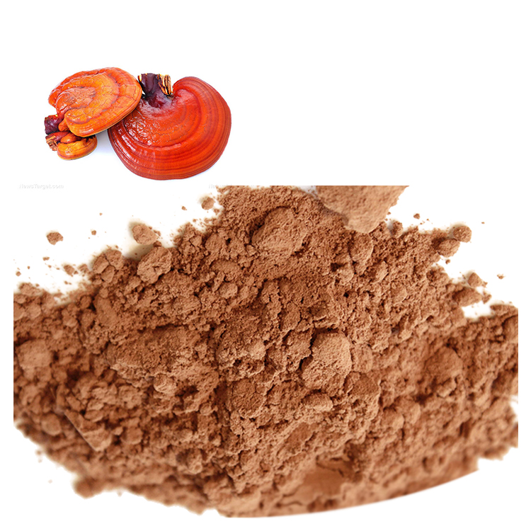 The Ultimate Guide to Choosing Red Reishi Mushroom Health Supplement Supplement for Health