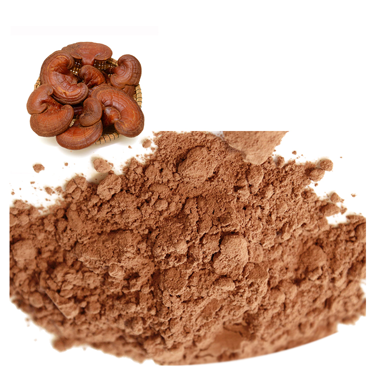 Organic Red Reishi Powder: A Natural Stress Reliever
