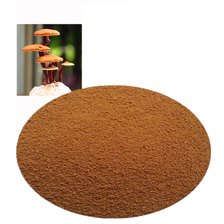 Organic Red Reishi Powder: A Natural Stress Reliever