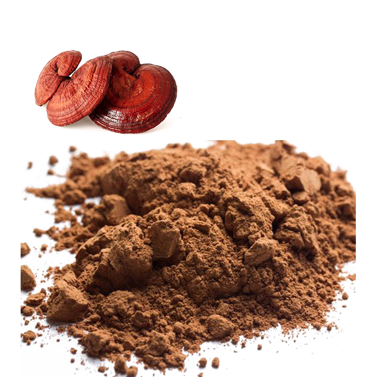 Non-GMO Red Reishi Powder for Clean-Label Products