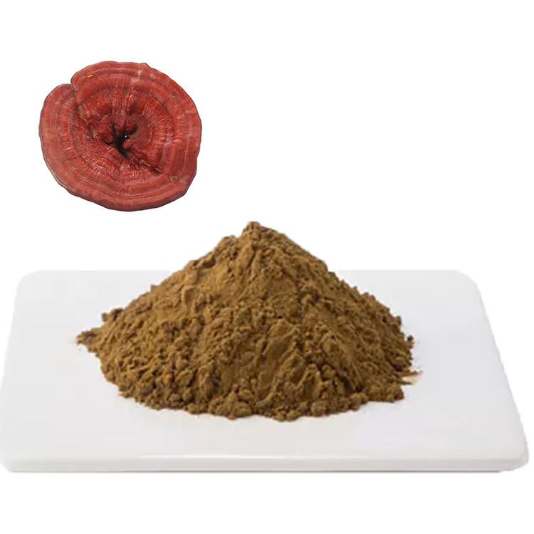 What Makes Lingzhi “The Mushroom of Immortality”?