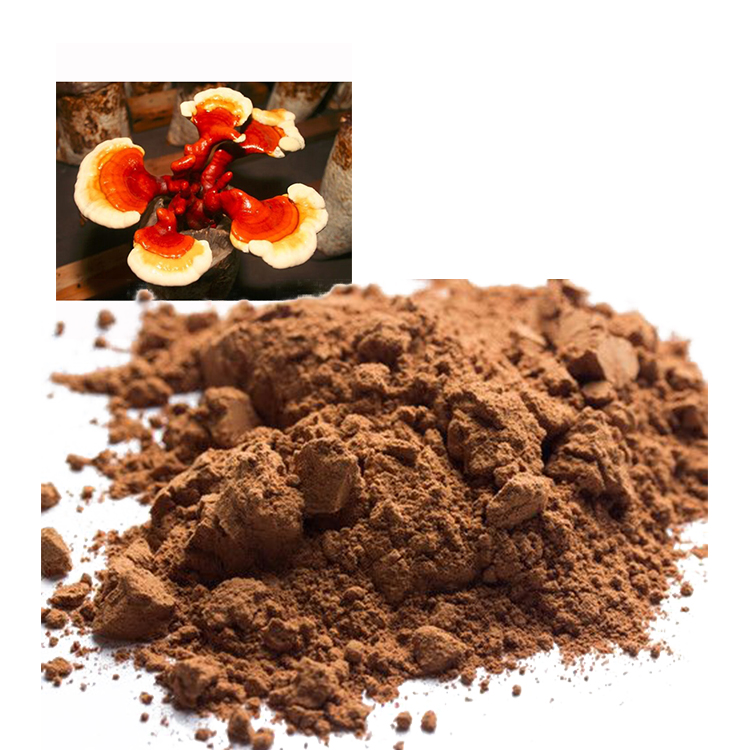 Non-GMO Red Reishi Powder for Clean-Label Products