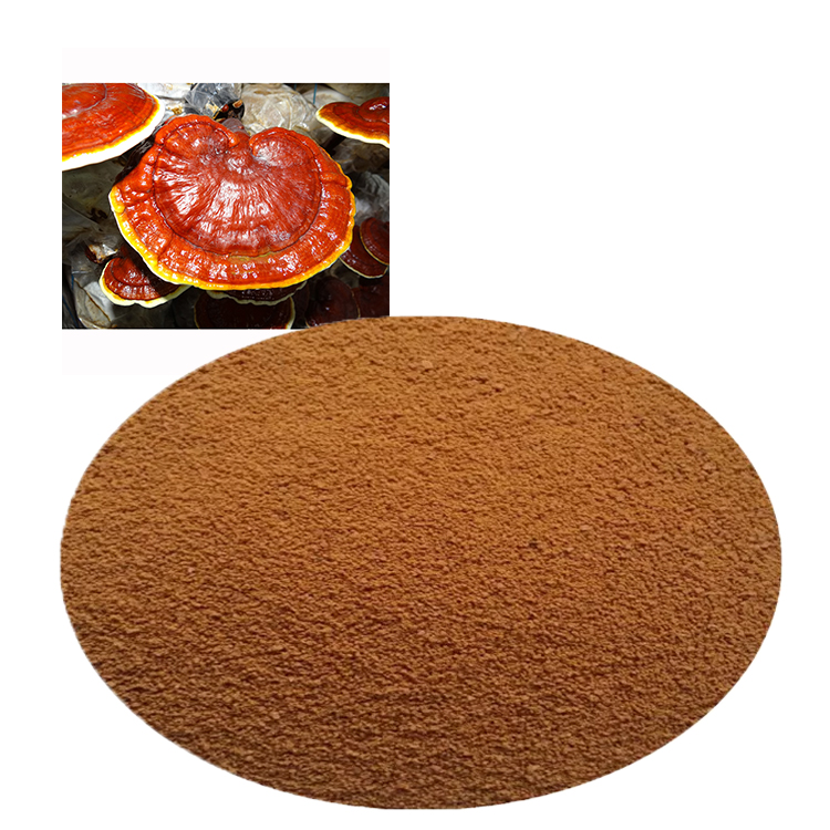 High Beta-Glucan Red Reishi Extract and Immune Health
