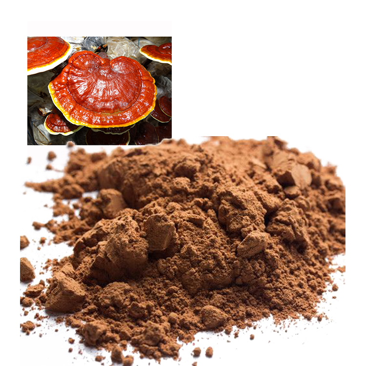 Non-GMO Red Reishi Powder for Clean-Label Products