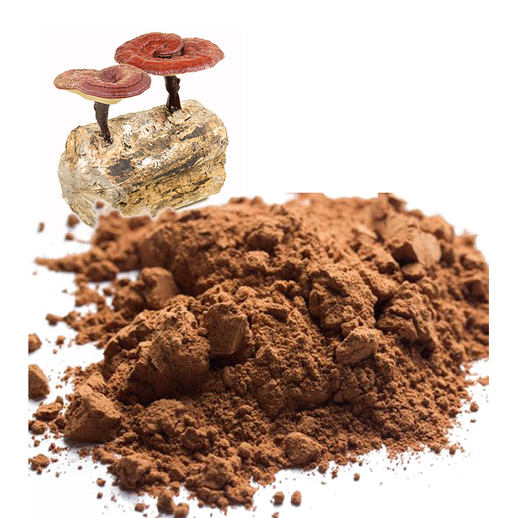 Non-GMO Red Reishi Powder for Clean-Label Products