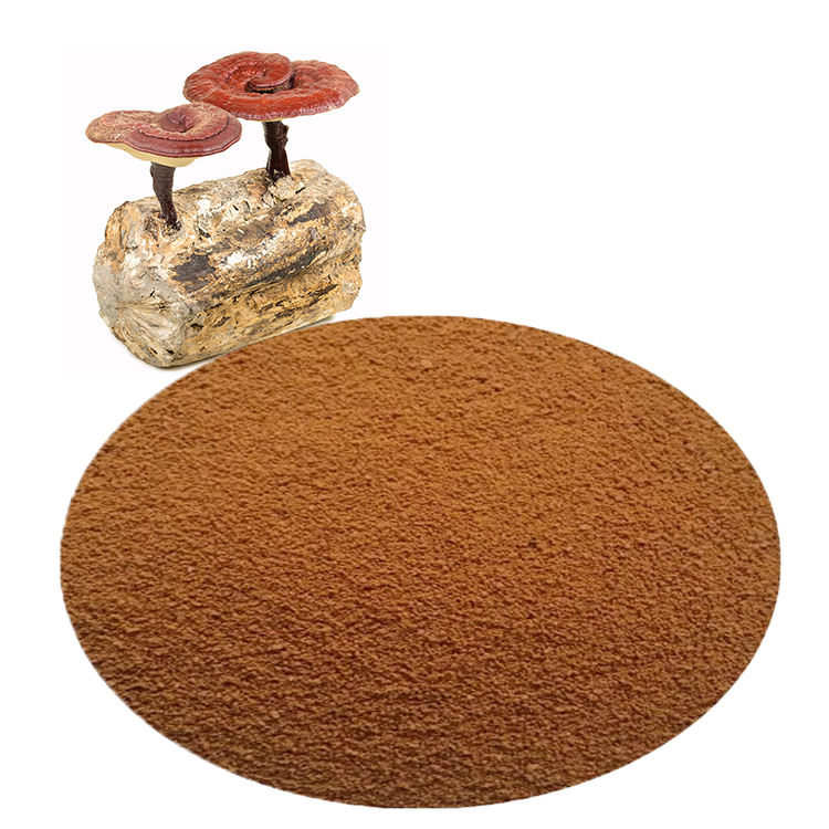 High Beta-Glucan Red Reishi Extract and Immune Health