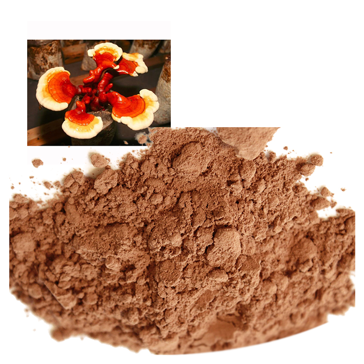Organic Red Reishi Powder: A Natural Stress Reliever