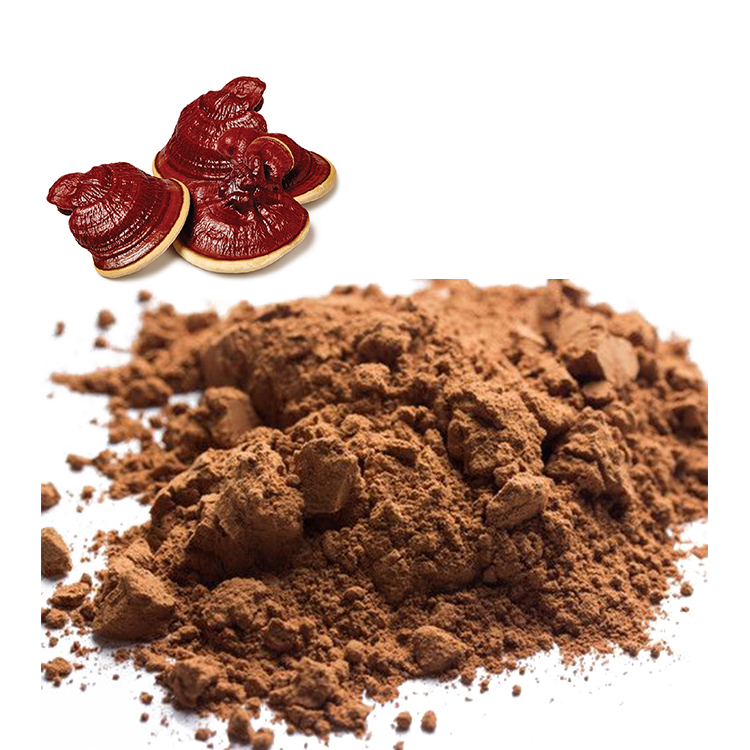 Non-GMO Red Reishi Powder for Clean-Label Products