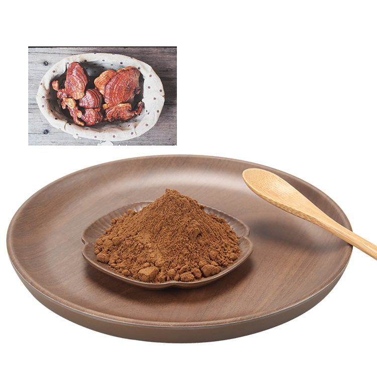 The Ultimate Guide to Choosing Red Ganoderma Mushroom Extract Supplement for Health