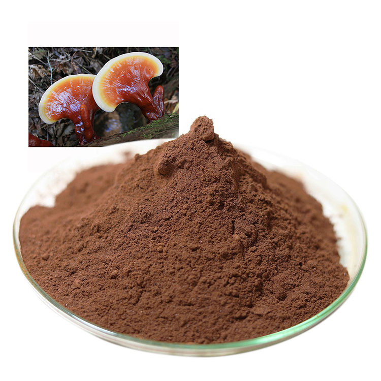 Buy Certified Organic Mushroom Powder and Certified Organic Ganoderma Lucidum Powder and Red Reishi Mushroom Extract Online - Health Benefits & Uses
