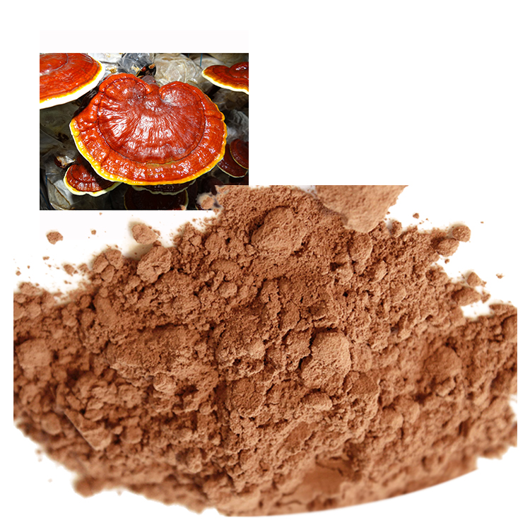 Organic Red Reishi Powder: A Natural Stress Reliever